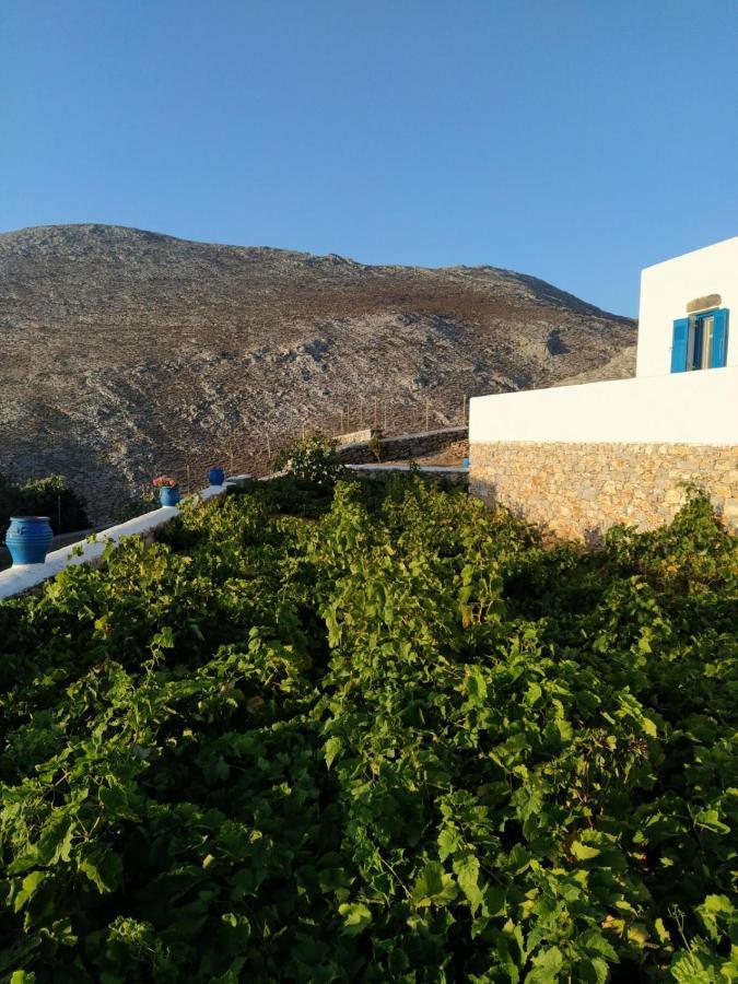 Cycladic Houses In Rural Surrounding Amorgos Exterior photo